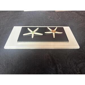 Starfish on Tile